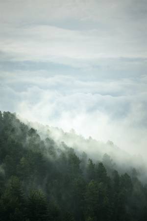 Parc National des Cévennes