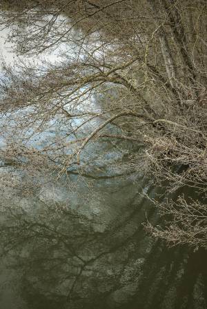 Le Doubs à Dole