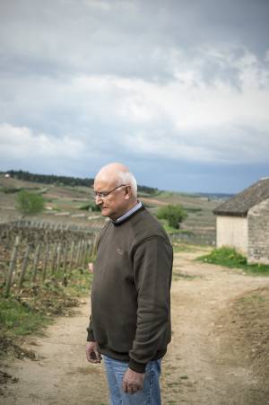 M. de Bueil, chef de culture Bouchard Père et fils, pour le journal Libération